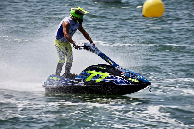 他们的强大 他们的强大