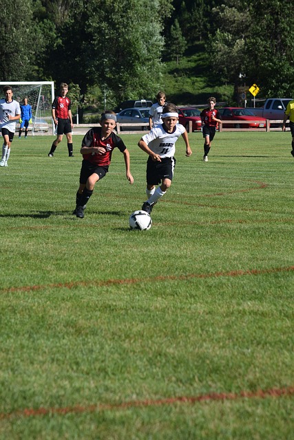 乓球新星 乓球新星