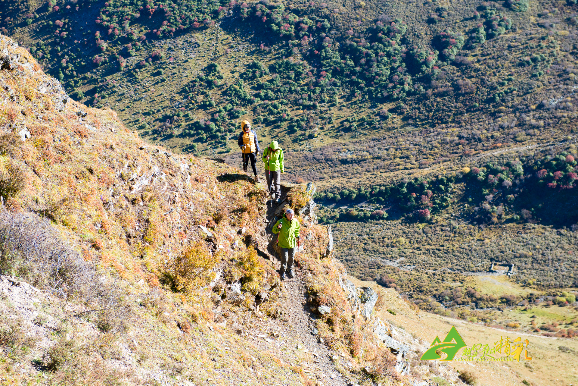 得淋漓尽致 得淋漓尽致