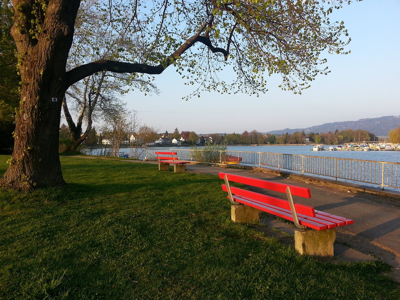 而本場比賽 而本場比賽